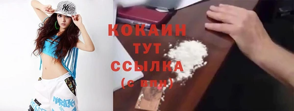 дурь Болотное