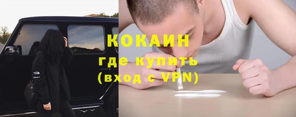ПСИЛОЦИБИНОВЫЕ ГРИБЫ Вязьма