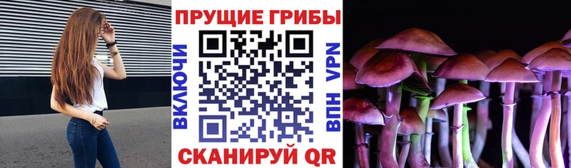 Псилоцибиновые грибы MAGIC MUSHROOMS Дудинка